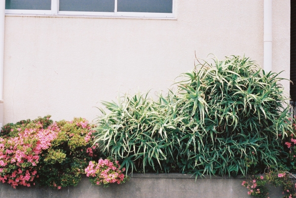 FH000010.JPG