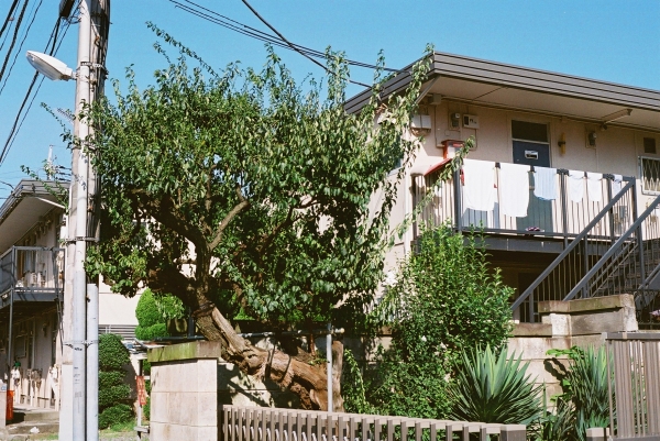 FH000031.JPG