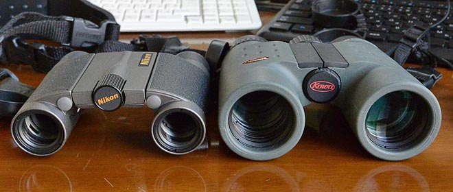 格安新作 ニコン(Nikon) 8x20HG L DCF 8倍双眼鏡 ECカレント - 通販