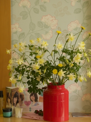 P5141542.jpg