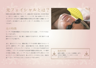 フォト・バストjpg.jpg