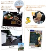 萩散策