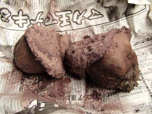 sumire100703-7.JPG