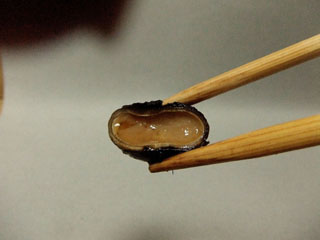 tsuchiguri-11.JPG