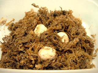 kaninotsume-5.JPG
