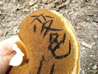 ookogecha2012-12.JPG