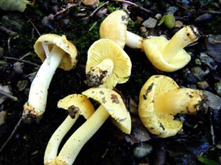 tamaase2013-6.JPG