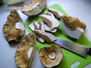 yamadori2013-16.JPG