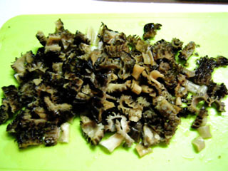 coock2014-1.JPG
