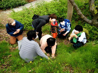 oosemi2014 (11).JPG