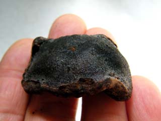 hetatake2014 (1).JPG
