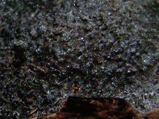 hetatake2014 (2).JPG