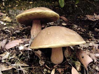 ymdrtkmdk2015 (17).JPG