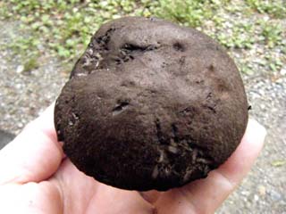 mkwkramasigc (7).JPG