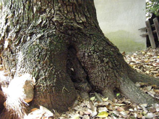 hikkoshi (5).JPG