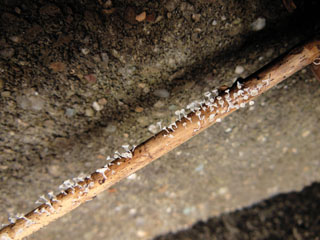 hikkoshi (9).JPG