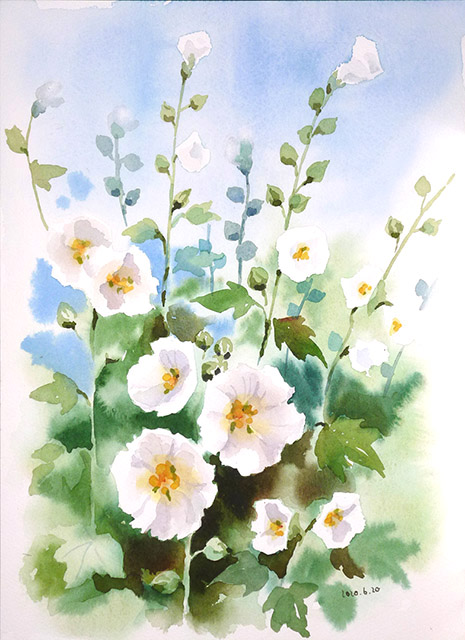 タチアオイ | うさこの透明水彩画