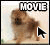 犬動画