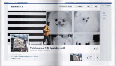 TWINKLESNOW犬舎 facebook