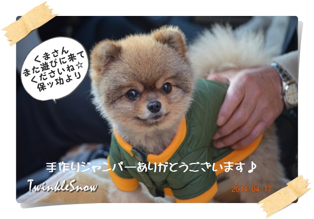 TWINKLESNOW犬舎