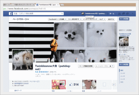 TWINKLESNOW犬舎 facebook