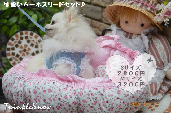 可愛いポメラニアン ハーネス&リード販売