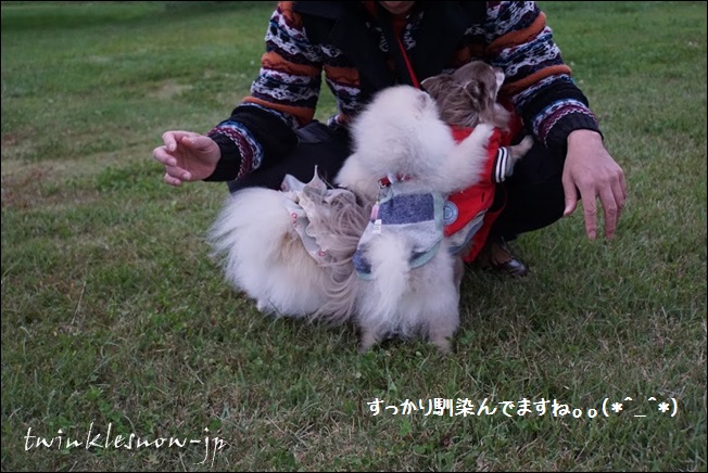 DSC02959 - コピー.JPG