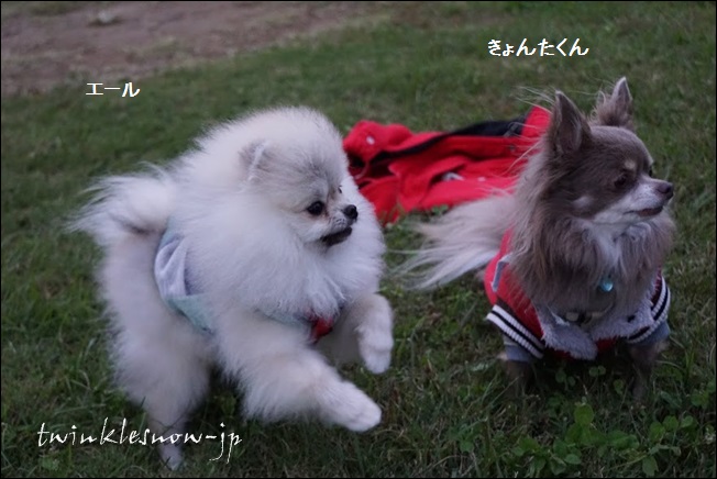 DSC03003 - コピー.JPG