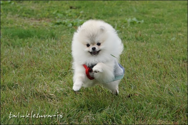 DSC02474.JPG