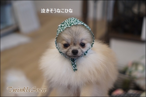 DSC03508.JPG