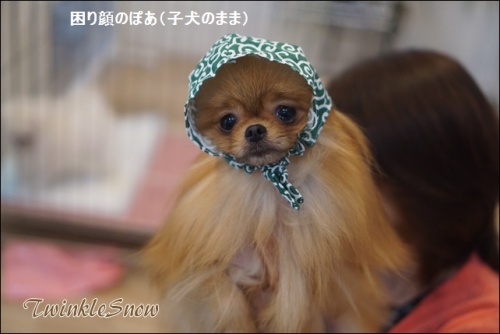 DSC03515.JPG