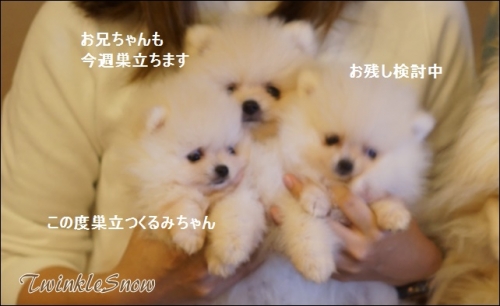 DSC04607.JPG