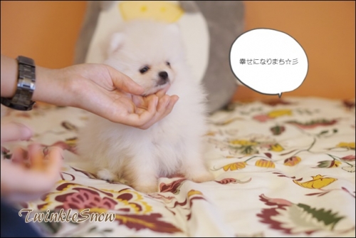 DSC04626.JPG