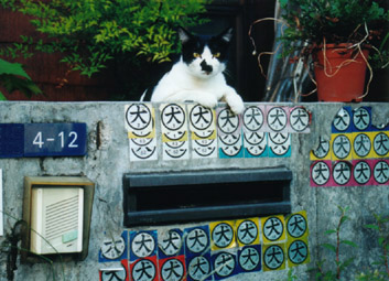 犬・犬・犬‥‥猫!?