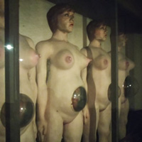 妊婦人形 妊婦画像