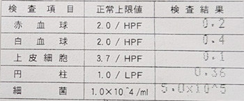 泌尿器科の尿検査結果2