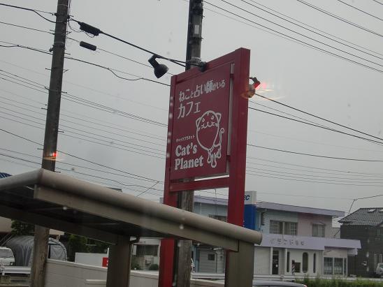 猫カフェへGo!?.JPG
