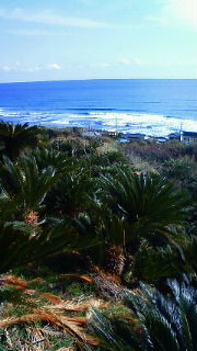 201002141300000.jpg