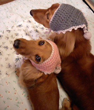 20100318_647043.jpg