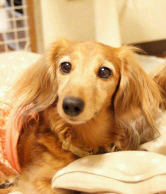 20121130_384976~001.jpg