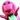 20090906_1445394.gif