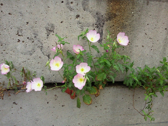2011062300530000.jpg