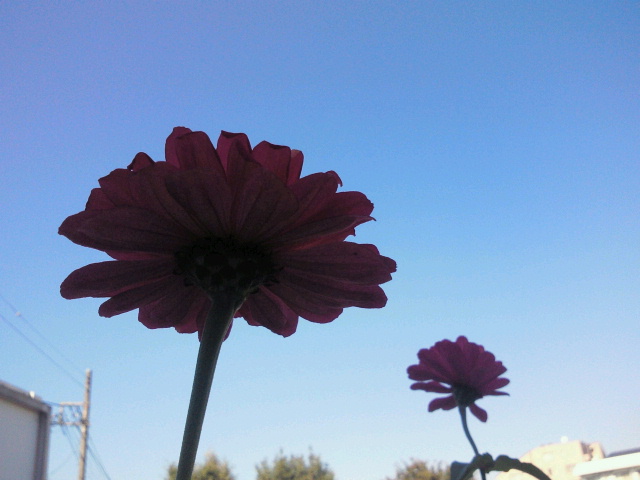 2012102221430000.jpg