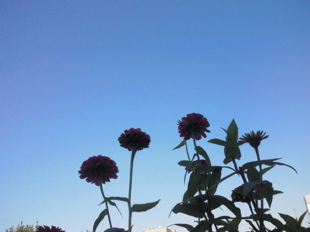 2012102221430001.jpg