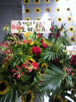P1000474.jpg