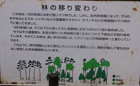 看板