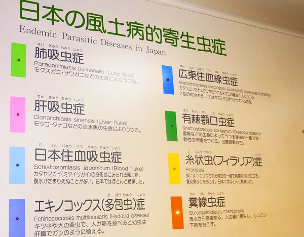 日本の風土病的寄生虫症