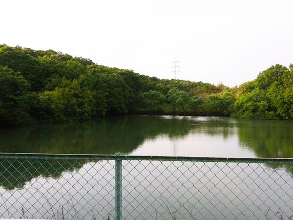 ため池