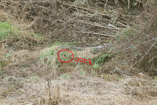 どこにいるでしょう?