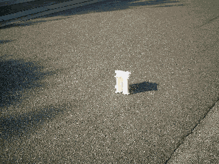 展開鳥